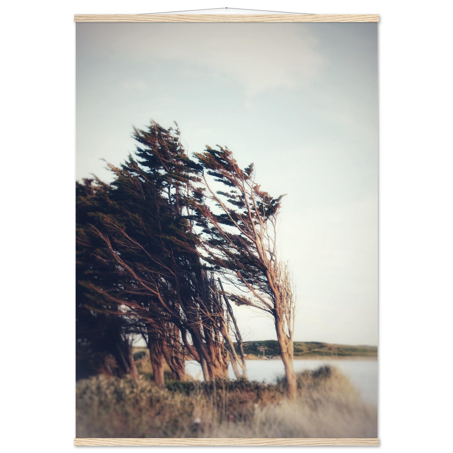2cf64570-31f4-43f0-979a-27b565ea32d6