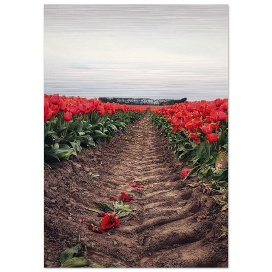 a4cf5843-0dbc-440c-bf66-b38a33b42c9b