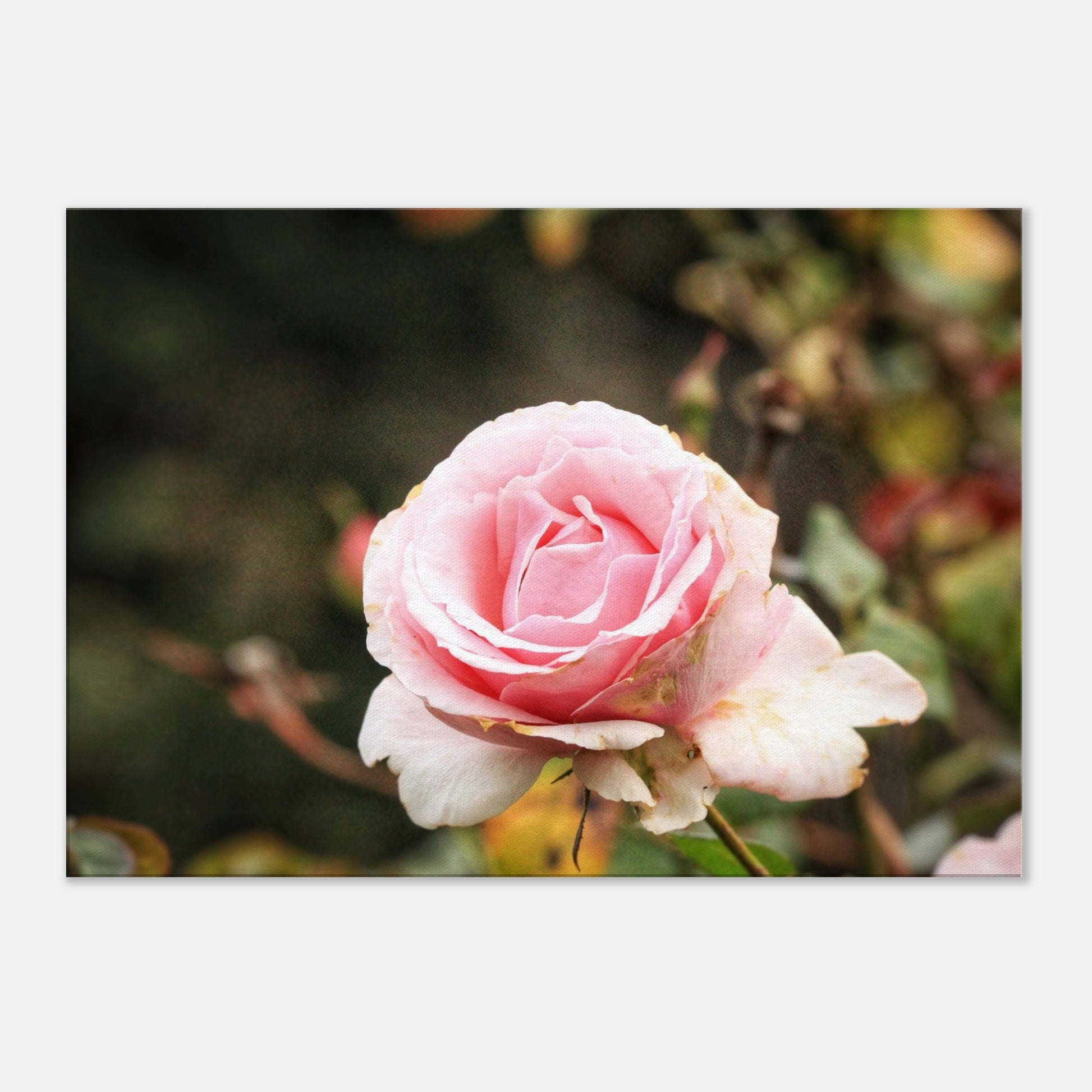 c12a0e5b-f3be-4bce-811c-1f1631bdab5f